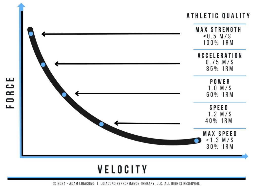 VBT | Adam Loiacono