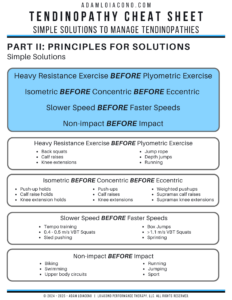 A Guide for High Performance Tendon Rehab | Adam Loiacono