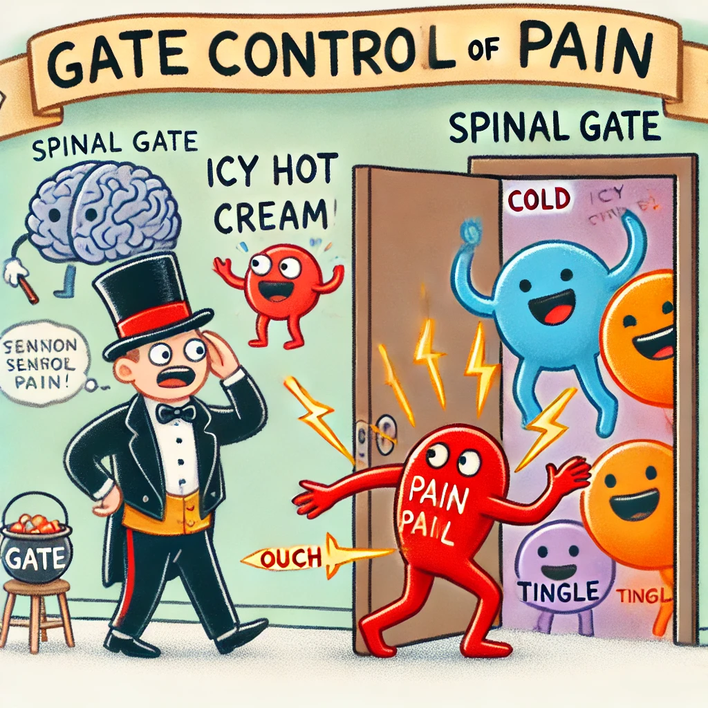 DALLE 2025-10-20 140705 - A simple cartoon-style drawing illustrating the gate control theory of pain The scene shows a hallway labeled Spinal Gate with a door halfway open | Adam Loiacono