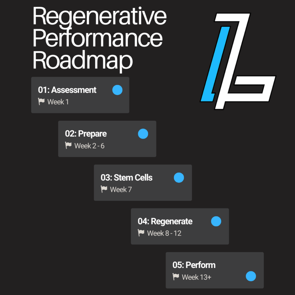 Roadmap | Adam Loiacono